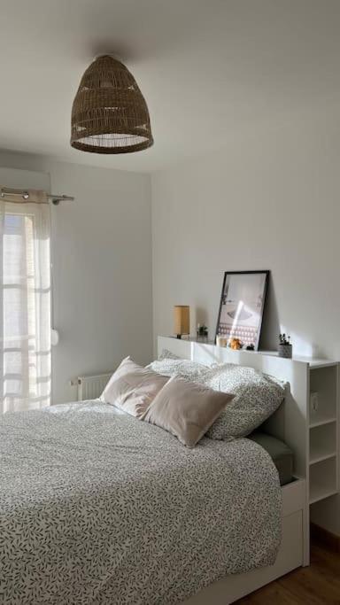 Appartement Le Nid Champenois Reims